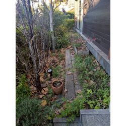 神奈川県小田原市にて除草と落ち葉拾いを行いましたの画像1