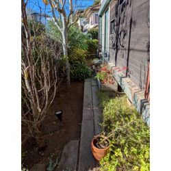 神奈川県小田原市にて除草と落ち葉拾いを行いましたの画像2