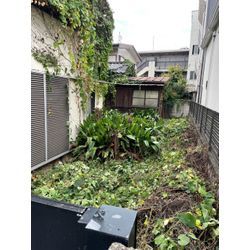 庭の枝剪定の画像3