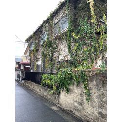 庭の枝剪定の画像2