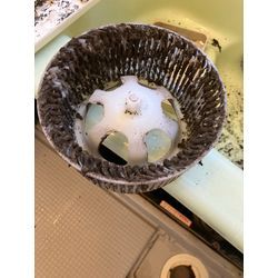 【換気扇分解クリーニング】の画像1