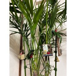 川越市のお庭じまい事例｜テレビ取材・植栽工事・お手入れの1週間の画像1