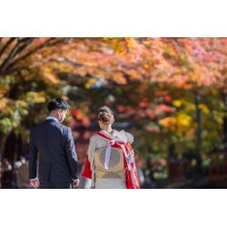 紅葉はやっぱり日吉大社の画像3