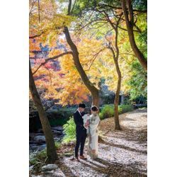 紅葉はやっぱり日吉大社の画像2