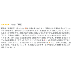 口コミのご紹介の画像1