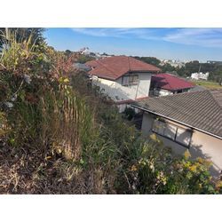 【横浜市】自宅前の所有地の除草作業 2025.11.22の画像1