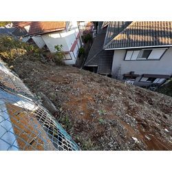 【横浜市】自宅前の所有地の除草作業 2025.11.22の画像2