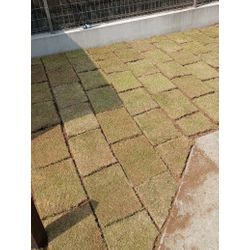 🌱芝張りのご予約についての画像1