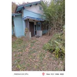 年末に向けて草むしりはいかがでしょうか？の画像2