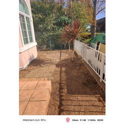 年末に向けて草むしりはいかがでしょうか？の画像3