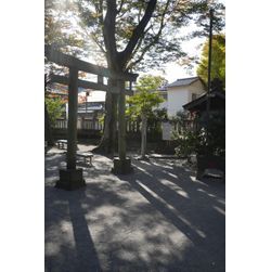 清瀧神社に七五三撮影で伺いました📸✨の画像1