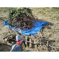 仕事の道具選びも大事！　〜群馬高崎の植木屋ゆうさんShortBlog〜の画像2