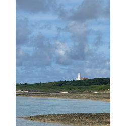 ★夏を先取り★の画像1