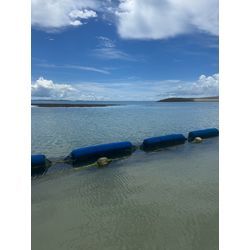 ★夏を先取り★の画像2