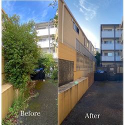 生い茂った植栽をスッキリ剪定！明るく安全な通路に大変身✨の画像1