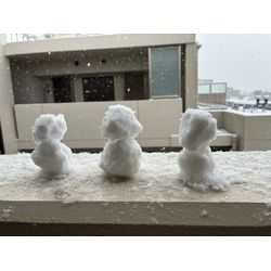 雪の日のお宮参り　東京の画像3