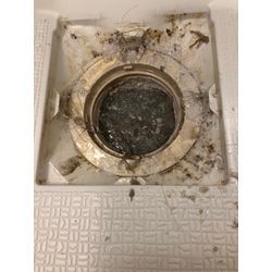 【排水口のお掃除】の画像1