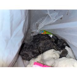 渋谷区でドラム式洗濯機の詰まり除去に行ってきました！の画像2