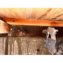 シロアリ駆除の画像3