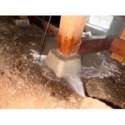 シロアリ駆除の画像2