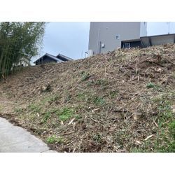 碧南市　竹林伐採の画像3