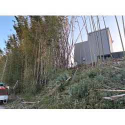 碧南市　竹林伐採の画像2