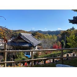 近況報告の画像1