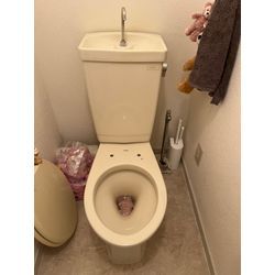 ウォシュレット交換の画像2