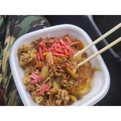 高崎市で庭木剪定見積訪問の後、下仁田町で草刈＆雑木伐採仕上げ　群馬高崎の植木屋ゆうさんSortBlogの画像2