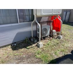 【現場レポート】気づけば草丈2m！戸建て借家のお庭をまるごと草刈りの画像2