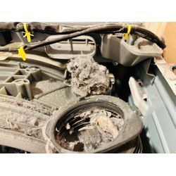 【大阪府大阪市阿倍野区文の里】快適な暮らしをお届けします！クマッペのドラム式洗濯機クリーニングサービス 🏠✨の画像1