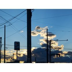 今日も休日はマックに出勤♪　〜群馬高崎の植木屋おやじShortBlog〜の画像3