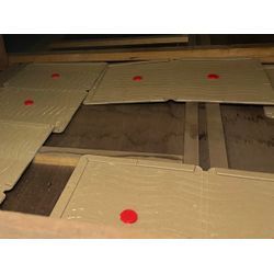 東京都八王子市ネズミ駆除の画像1