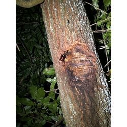 今年も誠にありがとうございました！の画像3