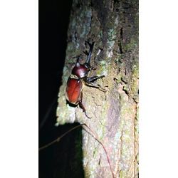 今年も誠にありがとうございました！の画像1