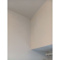 壁紙クロスのカビ除去の画像3