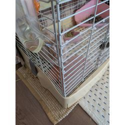 素敵なお部屋の水回りクリーニング✨の画像2