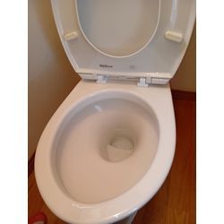 トイレクリーニングがご予約殺到。の画像1