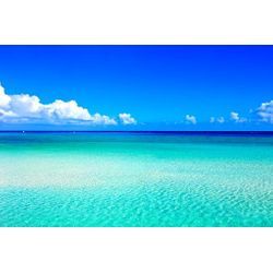 休業のお知らせの画像1