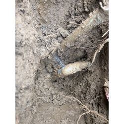 漏水修理の画像1