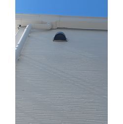 ☆蜂の巣駆除☆城南区の画像1