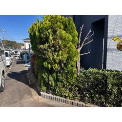 【横浜市】販売中物件のお手入れ 2025.11.21の画像2