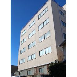 ビル外壁ツタ撤去の実例‼️の画像2