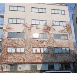 ビル外壁ツタ撤去の実例‼️の画像1