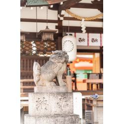 どこで撮る？迷ったらご相談ください⭐︎おすすめ神社、あります！の画像2
