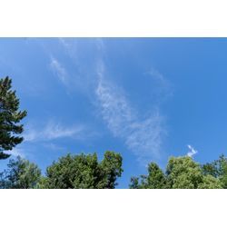 どこで撮る？迷ったらご相談ください⭐︎おすすめ神社、あります！の画像1