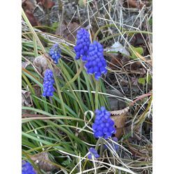 自分の身体に「ありがとう」言っていますか？✨の画像2