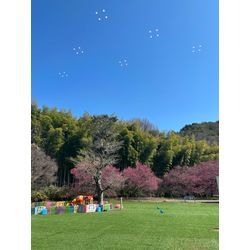 自分の身体に「ありがとう」言っていますか？✨の画像1