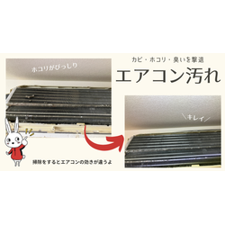 エアコンの中、実はこんな状態かもしれませんの画像1