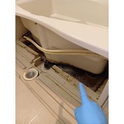 千葉市　UR 団地　除菌クリーニングの画像1